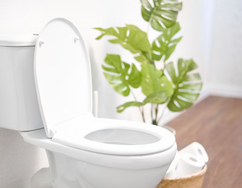 Broken Toilet Repair in Denver, CO